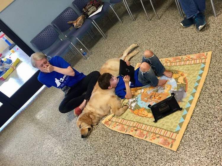 goodnewsnetwork's tweet photo. Mom is Brought to Tears Over Boy’s Moment of Peace with New Service Dog https://t.co/N0mySUTkbd https://t.co/0MaB6BW2a3
