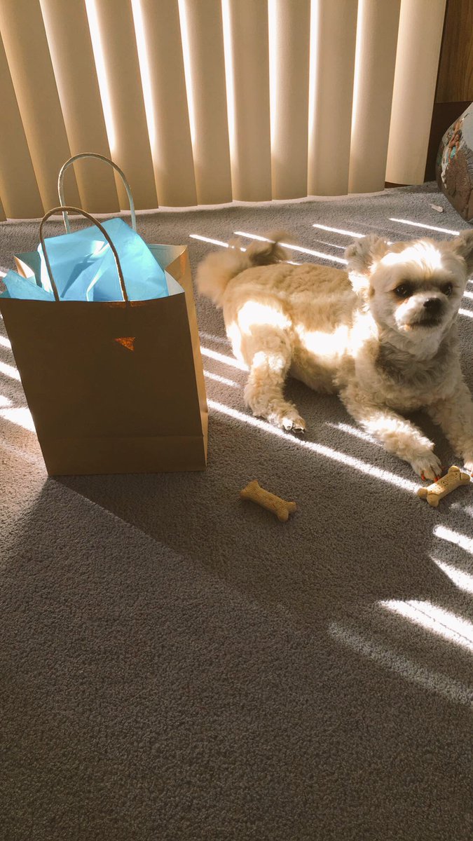 marcellaa4's tweet photo. @dylschneider getting ready for our long road trip to see you on Saturday! My gift for you and of course one and only miss Fae😂 #Ohiotrip https://t.co/AiqMuqJm5G