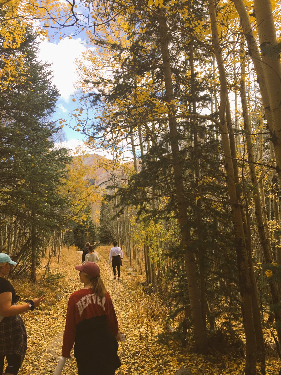 LauraBraun3's tweet photo. This is the life though🍁🍂🌲 https://t.co/bIiKnpwJhy