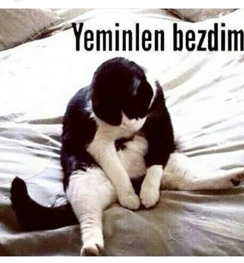 #ÖgretmenlerKasımdaAtansın
Twit atmaktan 😐