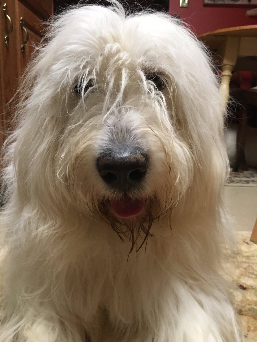 Deeverb's tweet image. 