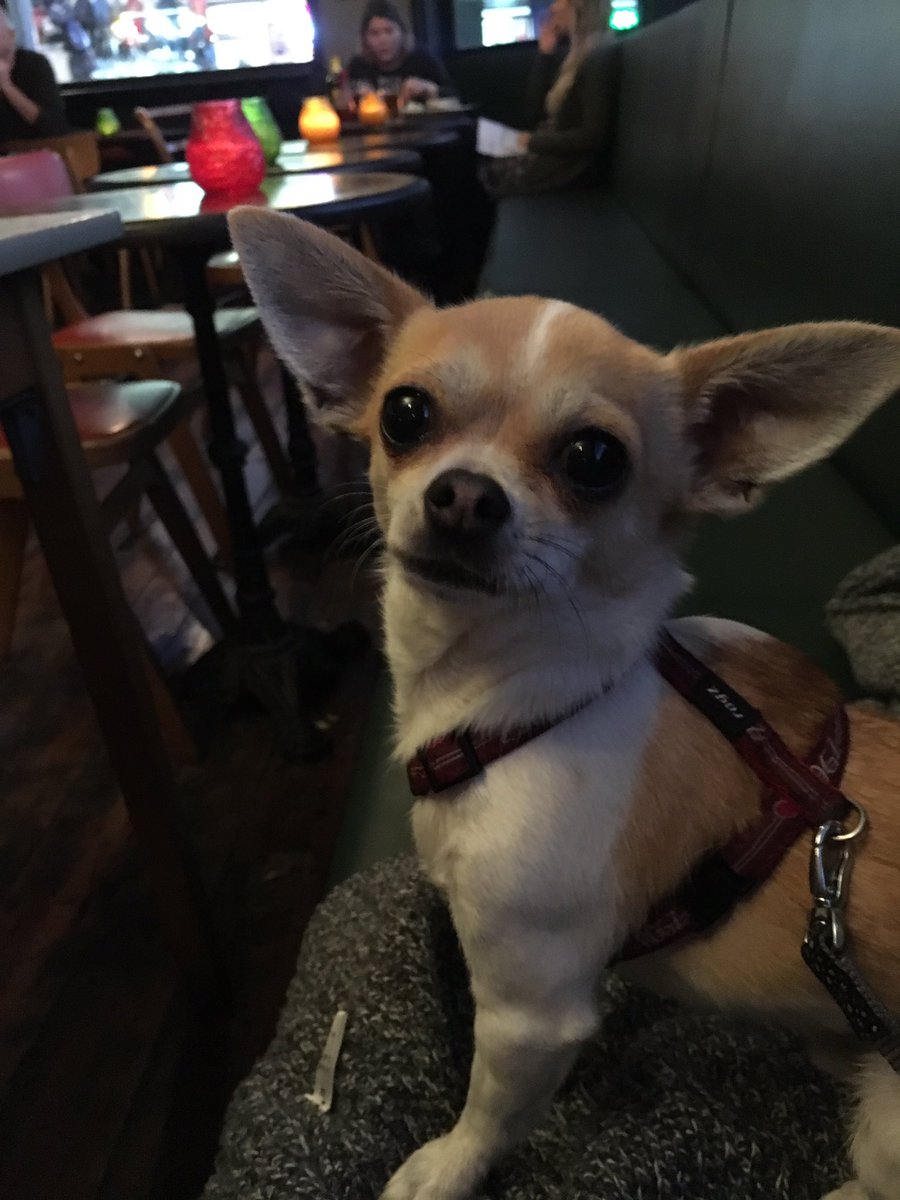 EastEndMorris's tweet photo. Pint of pale and a packet of scratchings please https://t.co/0YMoDI1RW2
