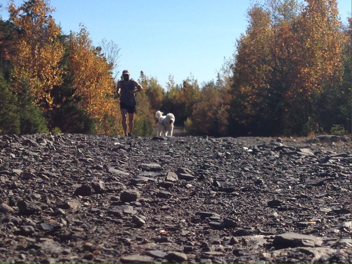 Thorn__Scott's tweet photo. Out for another #trailrun with Murf. 

#trailrunning #canada #dogs #runningfree #northernfree https://t.co/tPAOhkQTrC