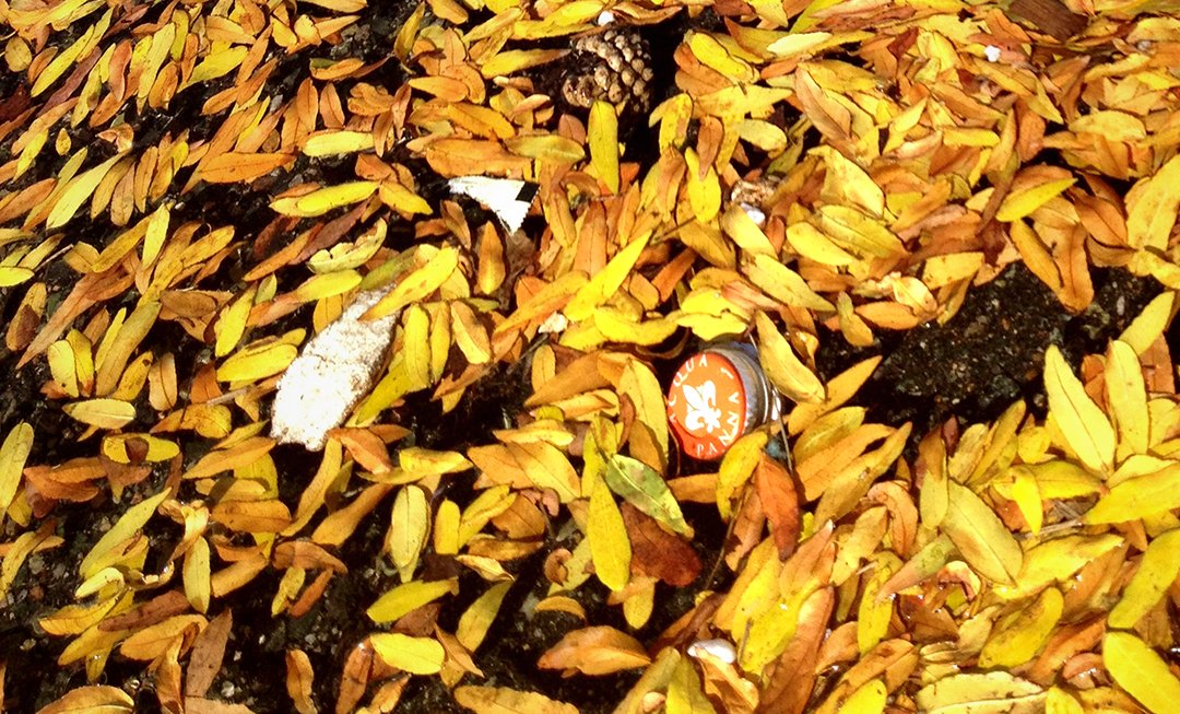 COASTSWEEP's tweet photo. This week’s #KingTide splashed over streets, underscoring how important it is to pick up #litter to prevent #MarineDebris! #ThursdayThoughts https://t.co/w5Rqg2SGma