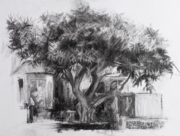 Trees have existed for 370 mill years, lets keep it that way. Art &amp; story telling fundraiser for #Brockley trees <a href="/57arts/">Number 57</a> Isobel Kimberley