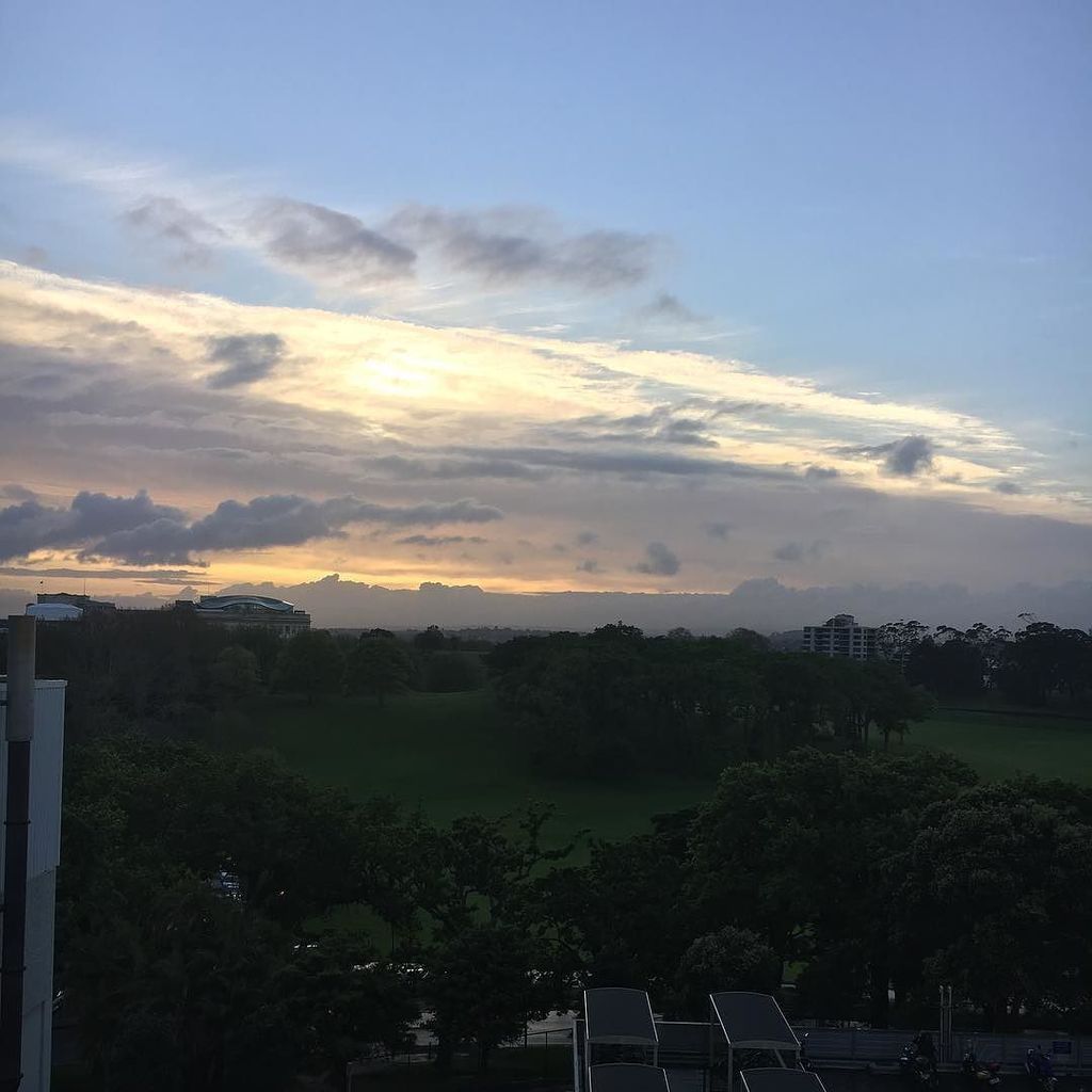 sjcnz's tweet photo. 4 weeks comes and goes so quickly. #treatmentday #roomwithaview #tysabri #multiplesclerosis #sjfightsms https://t.co/zj6GWcl1VF