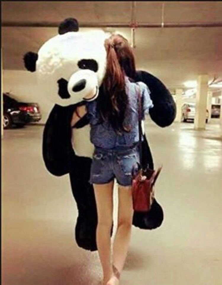 Danyquirozb's tweet photo. Muero 😍🐻🐼🤗. #directaindirecta https://t.co/AIxwCpXnHW