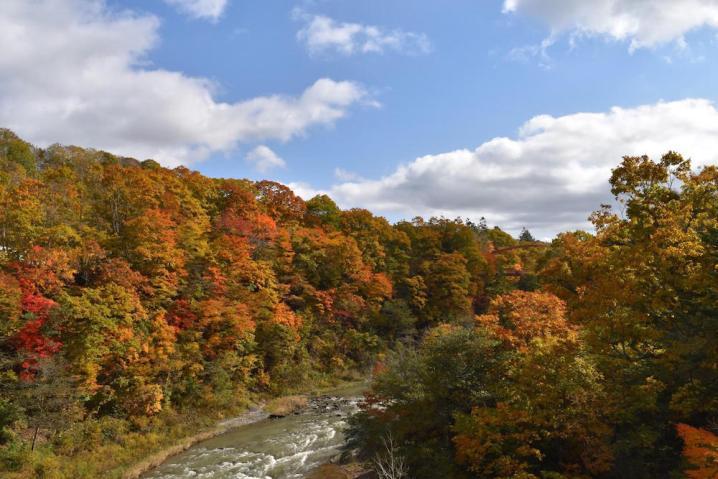 パークフル 公園検索アプリ 滝の上公園 北海道夕張市 夕張市屈指の景勝地 滝の上公園 夕張 川の浸食によってできた滝や奇岩など 渓谷が美しい公園です 秋には赤や黄色に色づいた紅葉が素晴らしく たくさんの人たちが訪れます T Co