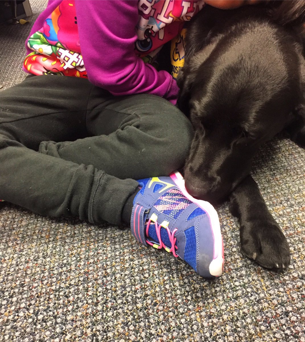 PADSk9Merlot's tweet image. Busy day filled with lots of interviews,&amp;amp; lots of hugs. #childabuse #forensicinterview #rcjc #yqr @reginapolice @PADSdogs #assistancedog