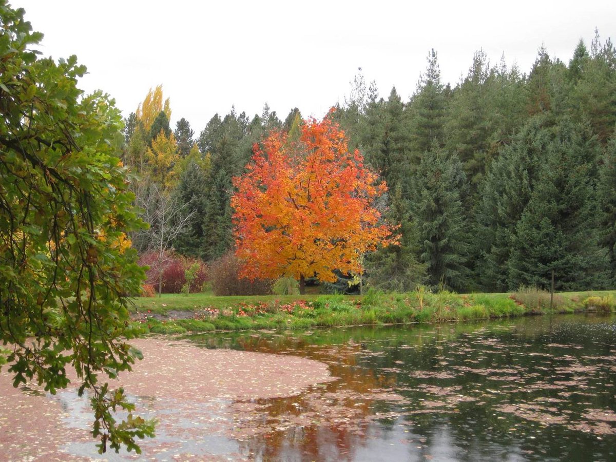 uidaho tweet picture
