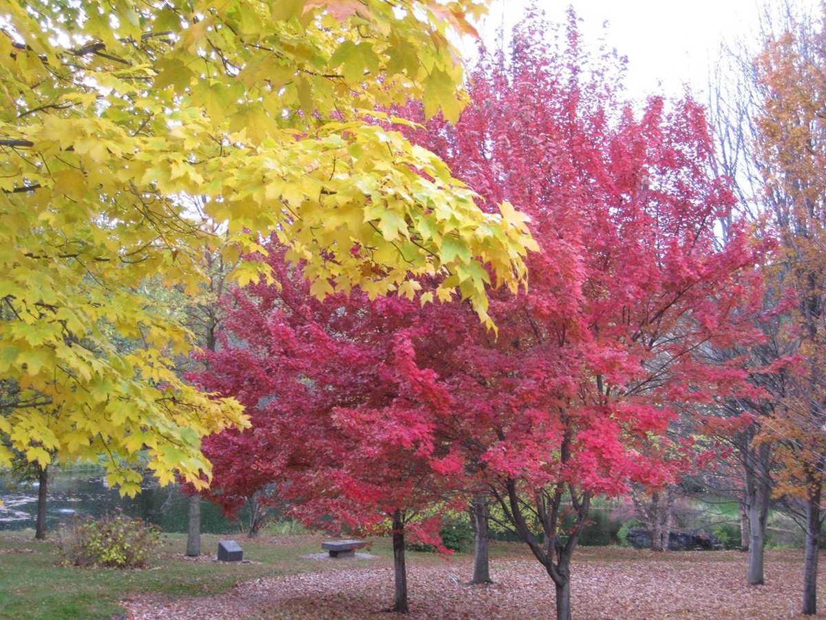 uidaho tweet picture
