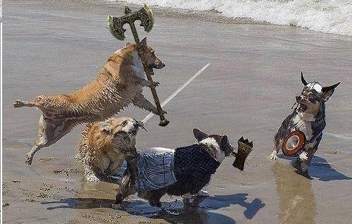weird_hist's tweet photo. As a breed, corgies date back over 1,000 years. So this medieval battle scene *could* be accurate. https://t.co/RsOz4Zfewf
