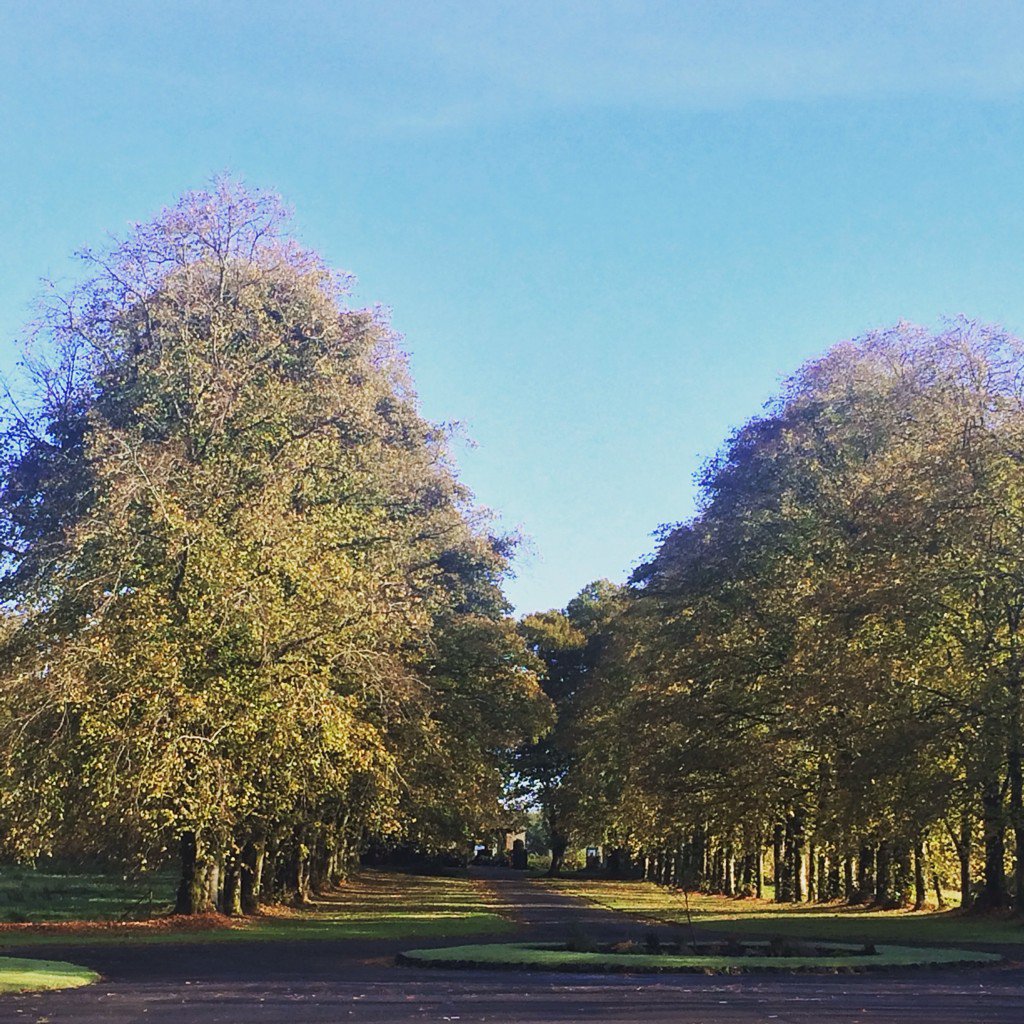 Another two weddings booked for 2018 this week x  #Wedding #weddingvenue #2018 #castle #Ayrshire #exclusiveuse