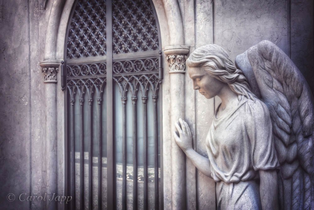 CarolJapp's tweet photo. https://t.co/cJu0wrfcsE  #Prazeres #Lisbon #Lisboa #CemeteryArt #Angel #AngelArt #GraveyardArt #Portugal #Portuguese #FineArtAmerica https://t.co/p2I0n9IVkv