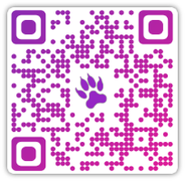 IndigoLions's tweet photo. Final version of our app is online! #Computing4WC #StableAf #ProbsNot #DownloadItAnyway https://t.co/Ti94mhTeug