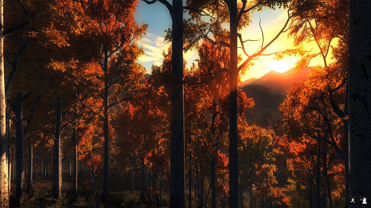 NitaThePoodle's tweet photo. #theHunterGame @TheHunterGame #TimbergoldTrails #GameArt #Games #Gaming #Landscape #Hunting https://t.co/1ec1Tt2kFo