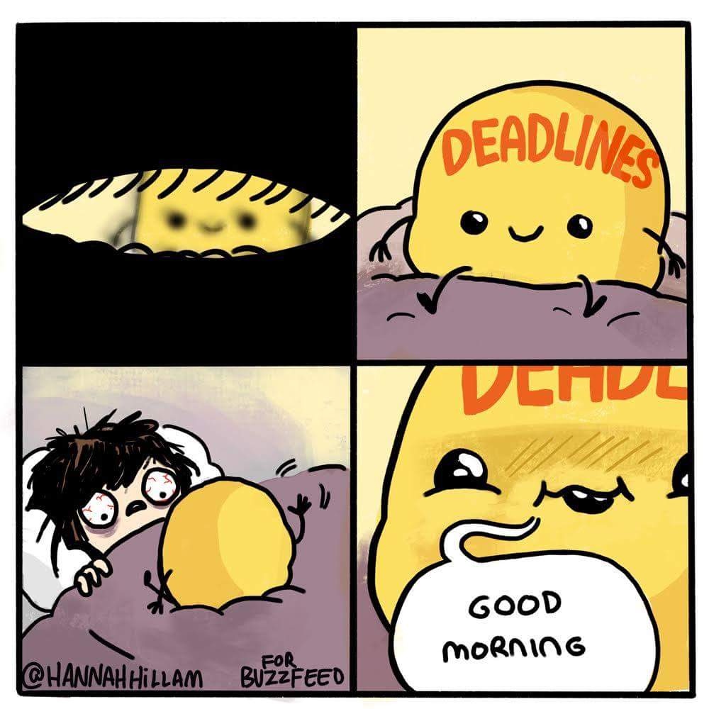 BLynneWinters's tweet photo. My life in a nutshell. The horrors!! #GradStudent #writer #crazylife https://t.co/laiGs40hbd