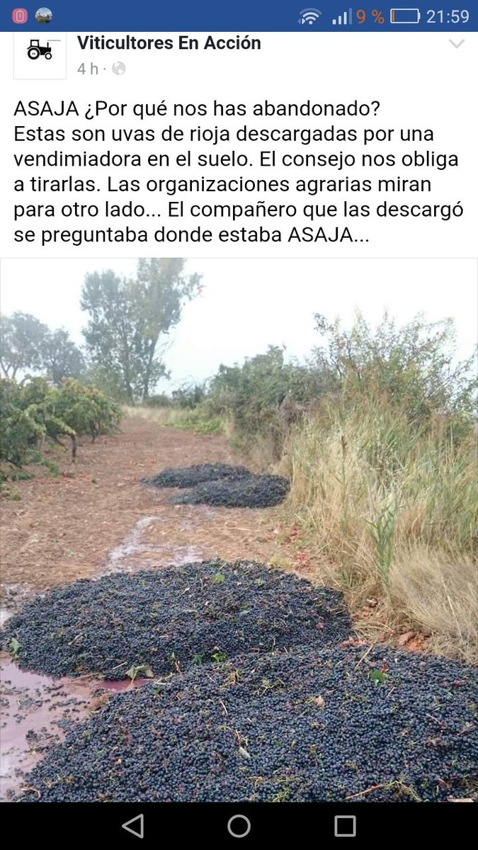 SilviapeAlonso's tweet photo. @JavierdAndres y esto qué? Nadie hace nada por impedir esta atrocidad https://t.co/TZARq1Xjrw