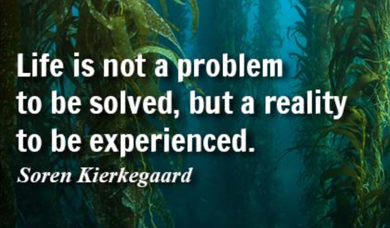 Great Quotes (@seek_truths) on Twitter photo 