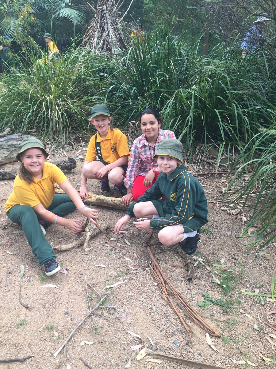 4/5C enjoying building their own national park #botanicalgardens