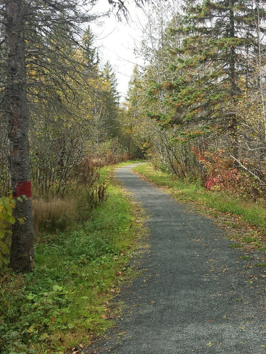 darknhazy's tweet photo. There are long sections of the #NBTrail that don't spawn Pokémon. I'm hoping @NianticLabs is saving these stretches for Gen 2 #PokemonGO https://t.co/RRRGleRt8i