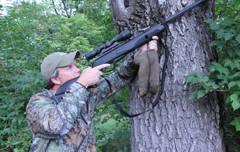 winchester's tweet photo. Get after some squirrels to sharpen your #hunting skills this fall: https://t.co/cVgcLHyubH #Winchester https://t.co/HfGCRyJeGe