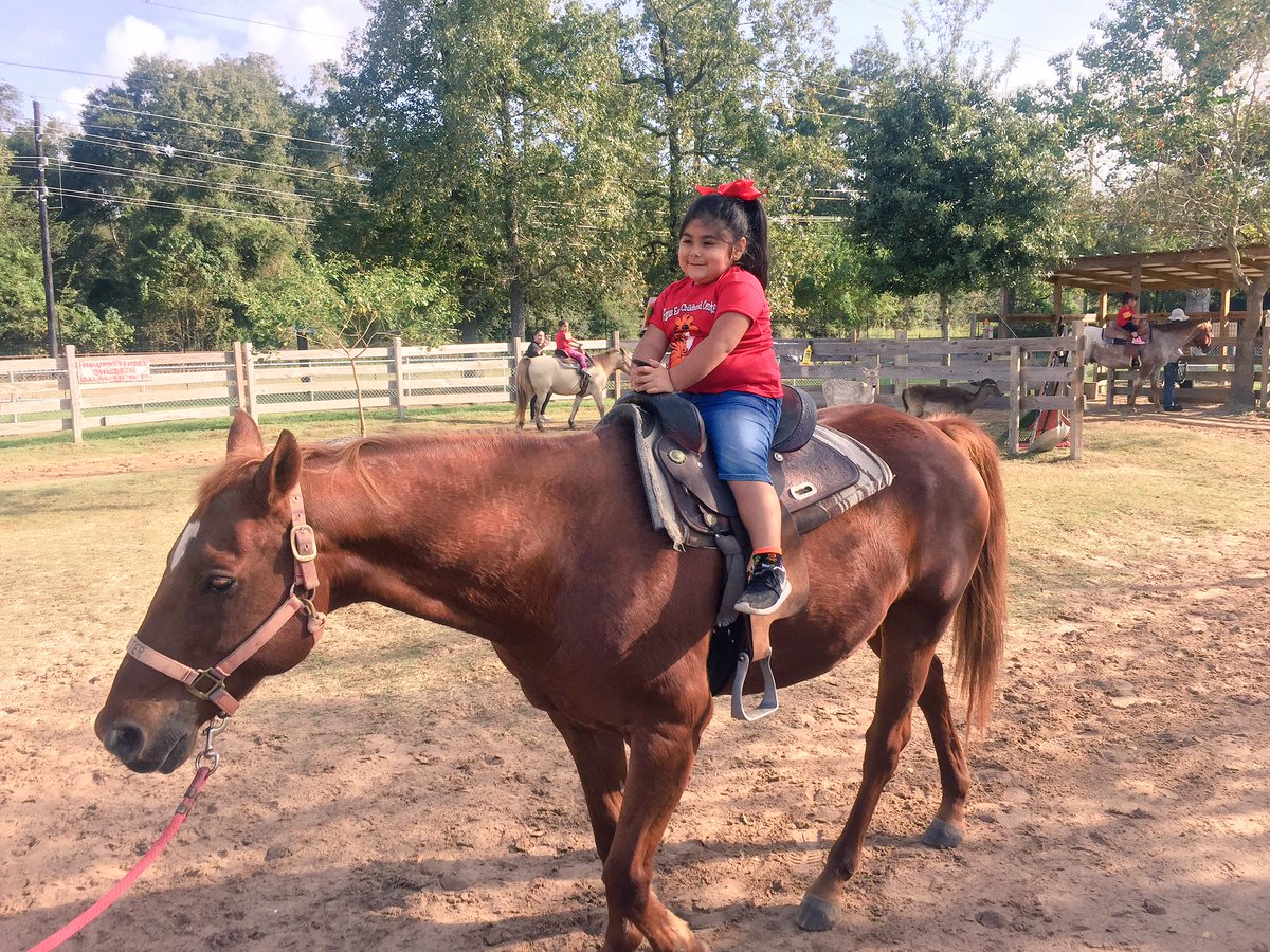 Ms_AIglesias's tweet photo. #FariasFarm #Rm20 https://t.co/NrtZtFHh0G