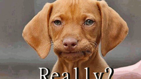 cell_wall17's tweet photo. When you find out you don't have a cell wall. https://t.co/EDOaJnjJsW