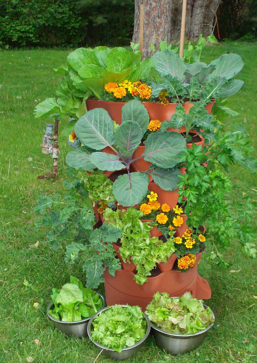 ガーデンタワープロジェクト ローメンテ家庭菜園 Twitterren 都市型エコプランター ガーデンタワー は業界初のミミズ コンポスト一体式 約60 四方で初心者でも最大50種類を自然栽培可能 生ごみ堆肥化により栄養豊富な土を作り ミミズが耕すことで根の成長を