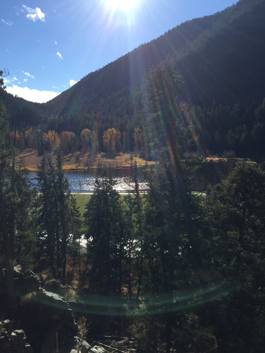 Ms. Bell tweet media