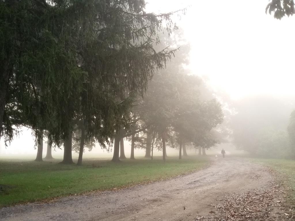 Wheels2Keels's tweet photo. I hated #fog as a kid, but as an adult it's one of  the last vestiges of mystery that delights me #ThursdayThoughts https://t.co/tA3arxa3Rc