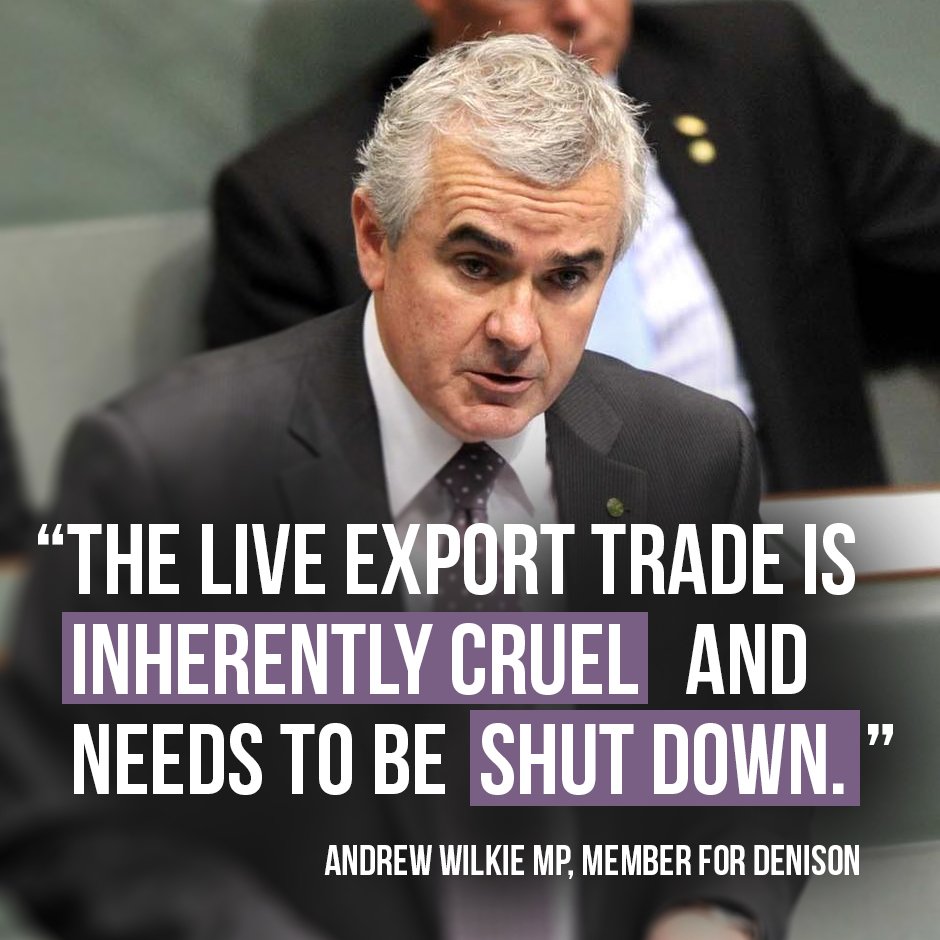 AnimalsAus's tweet photo. "No other industry would be allowed to consistently breach regulations and still be able to operate." HEAR HEAR, @WilkieMP! #BanLiveExport https://t.co/M5uPi52ZY7