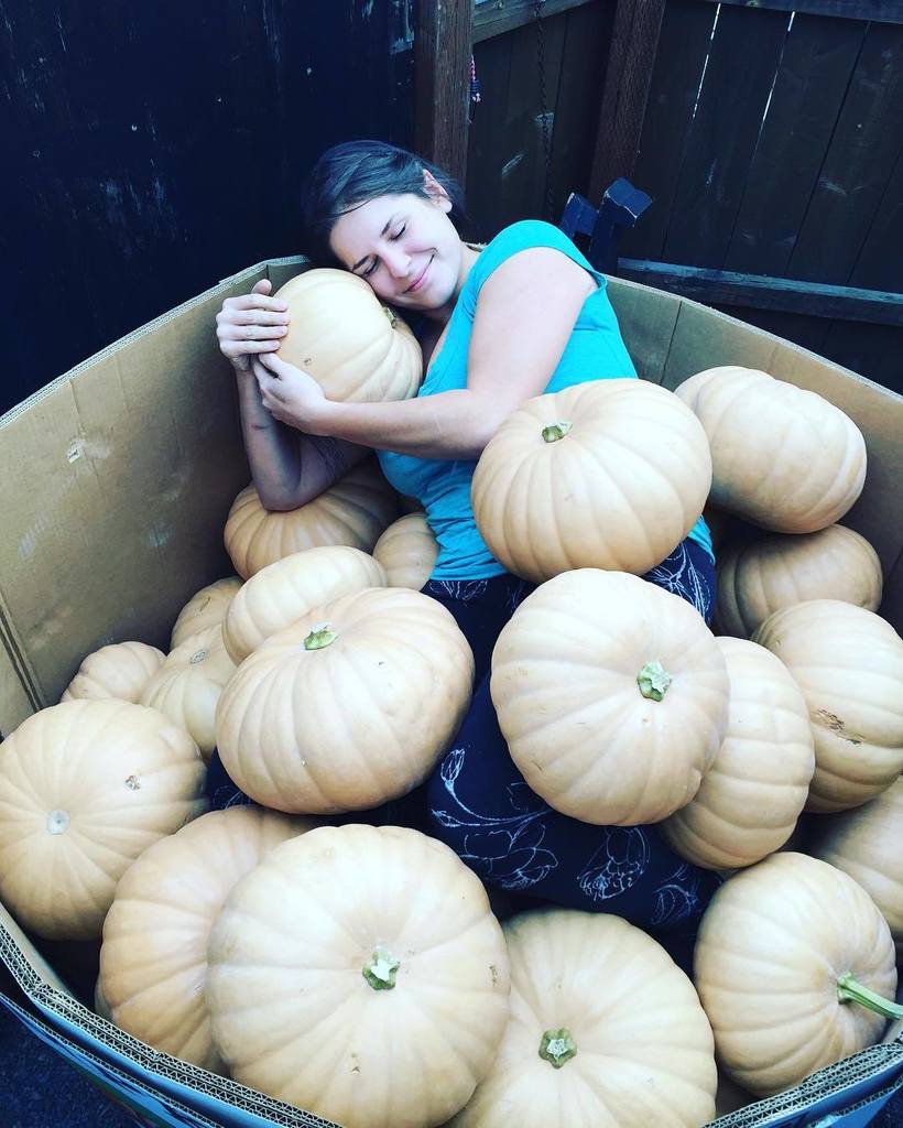 sparrowbakery's tweet photo. Believe it or not, all these pumpkins are destined to become Thanksgiving pies! That's right, it's time to think ab… https://t.co/4QyH1QHXSs