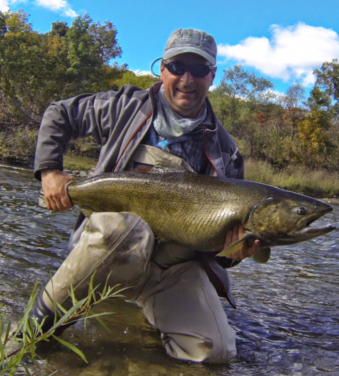 BayStOutdoors's tweet photo. #Toronto☆A River Runs Through It☆. #getbitnow release of this hefty hen Chinook Salmon https://t.co/nqD0uekDcf