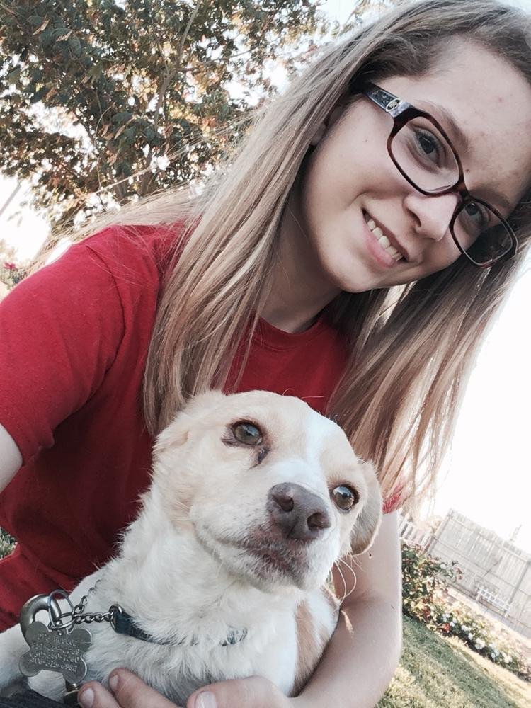 DPSRescue's tweet photo. Zara and Rex hanging out! He's a 2 year old JRT who came to us from a neglected past and now deserves the home of a lifetime. #AdoptRex https://t.co/B2Educ9QZL