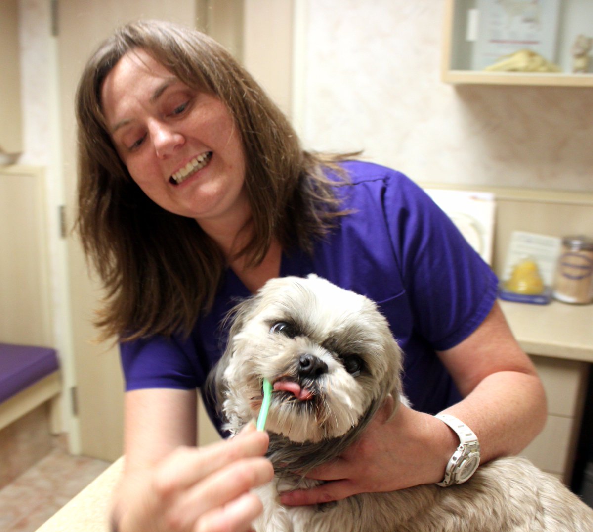 groversimba2's tweet photo. #dentalmonth #happypets #octobernewsletter https://t.co/XC2WmgvAlA https://t.co/sRJEC200s4