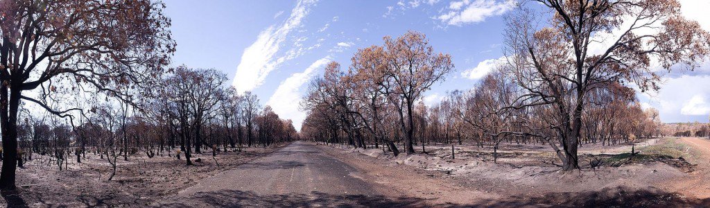 Amristar's tweet photo. Bushfire season soon upon us, planning done, fingers crossed that treatments are adequate (BRMS) Mapworks https://t.co/iQQD4skq7i https://t.co/XB7mXczXDc