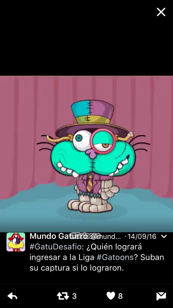 losMAKEYs's tweet photo. @mundogaturro https://t.co/fc7aNhF5Az