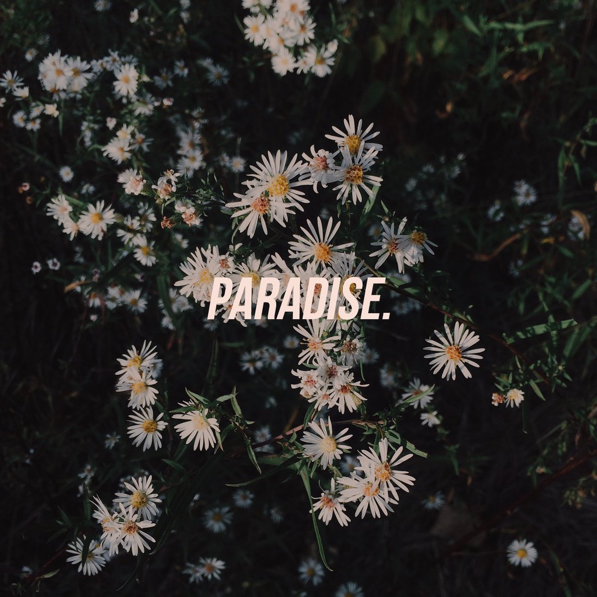MikeeWasHere's tweet photo. Thoughts for growth. 🍃 https://t.co/L6dU3cG9QA