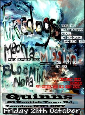 TheFiredogs's tweet image. The Firedogs, Meon a mission, and Bloomin' Nora  Live in London.