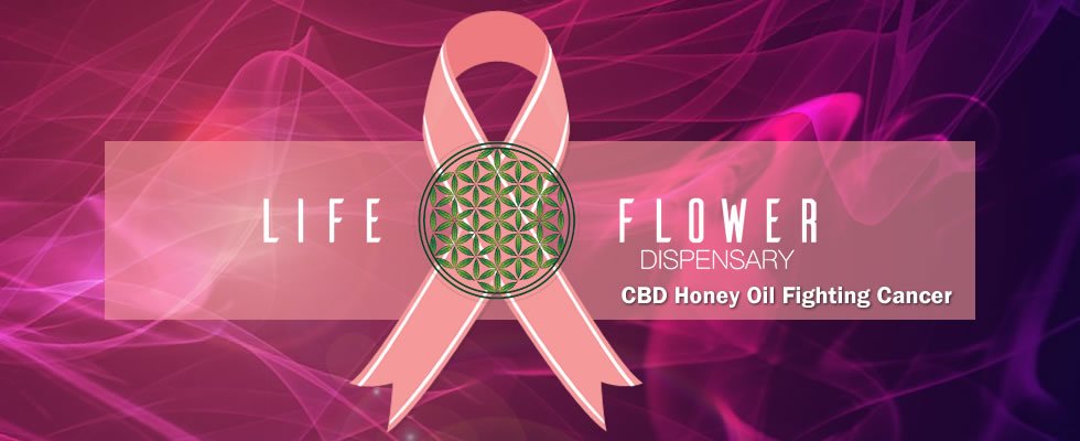 dopedirectory's tweet photo. CBD Oil Fighting Cancer https://t.co/ILBuQPX8bT @LifeFlower_CO #BreastCancerAwarenessMonth #CBD #ColoradoDispensary #medicinalmariijuana https://t.co/DU9C8AscMa