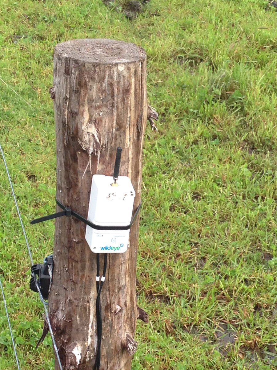 cutabove77's tweet photo. Installed @mywildeye #soil moisture probe on @Dairy_SA farm Sth of #MtCompass. Had ~750mm #rain since 1 May & 20mm o/n #fieldcapacity https://t.co/f4CeiG8cu4