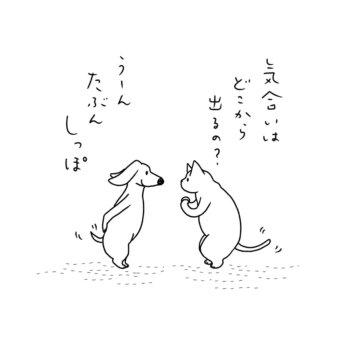 石川ともこ きんようびの き 気合いの き Illustration イラスト Cat 猫 ねこ しろさん 犬 Dog ペット 動物 気合い 金曜日