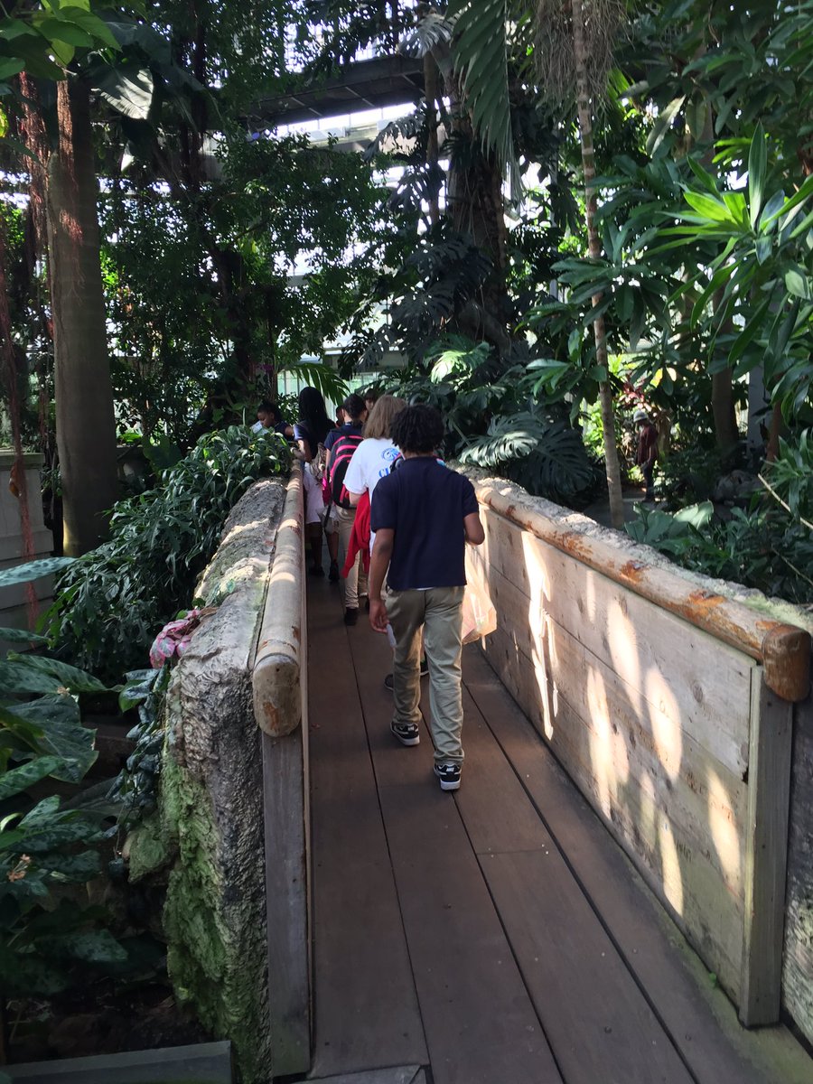 Ms. Clyne tweet media