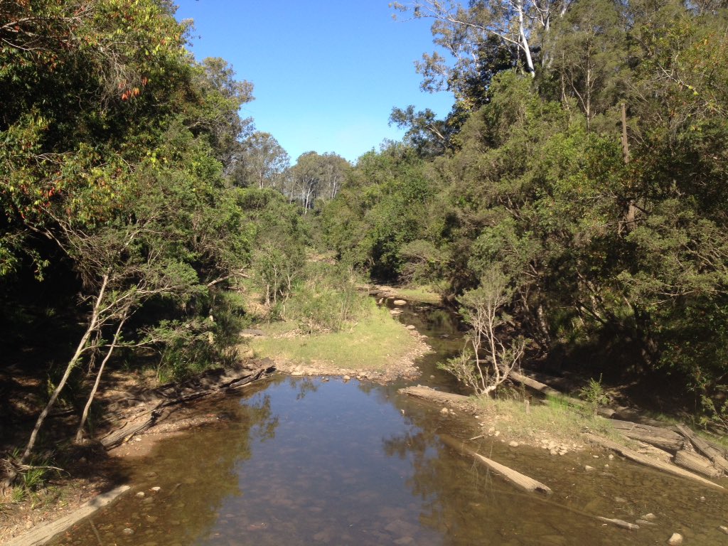 Mary River Catchment tweet media