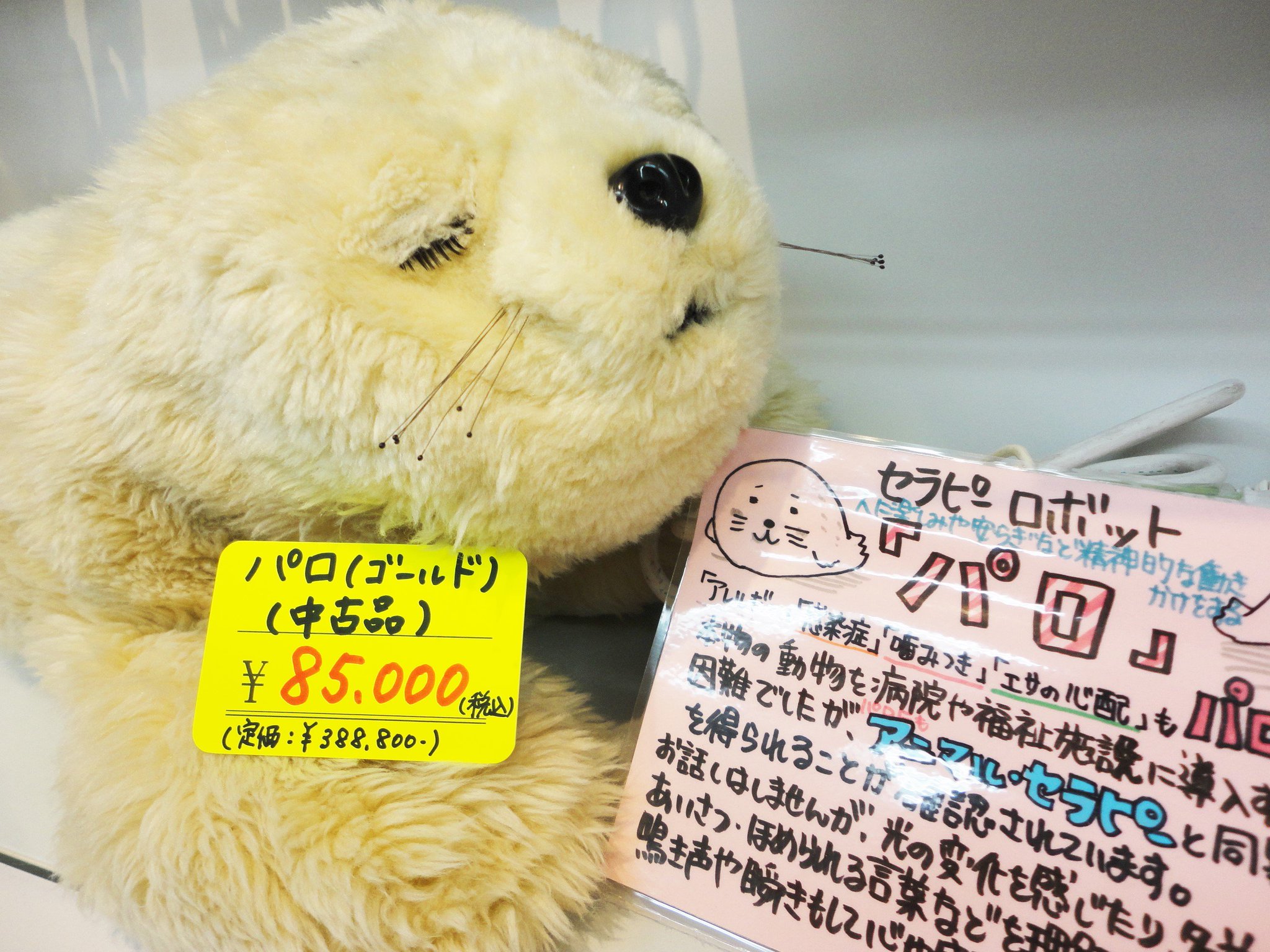 めちゃ可愛い!アザラシ型メンタルコミットロボット PARO パロ めちゃ可愛い!アザラシ型メンタルコミットロボット PARO パロ