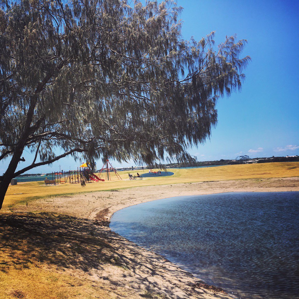 lovellypetsits's tweet photo. We spotted lots of lovely #puppies out enjoying the gorgeous #GoldCoast weather today. #gc #spring #petsitter https://t.co/BEvvveFsiJ