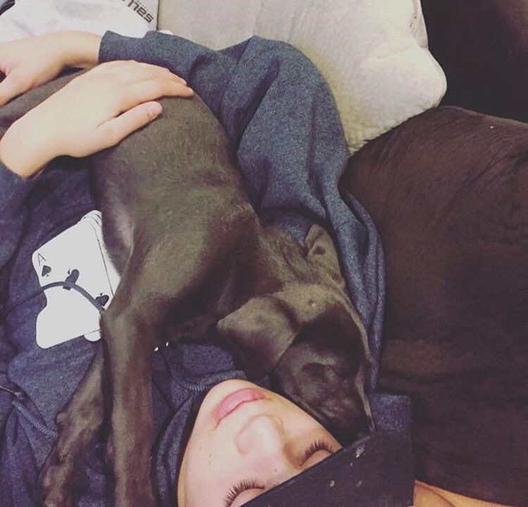 HayesGrier's tweet photo. Why are Dogs so awesome? https://t.co/bkQGagKua1
