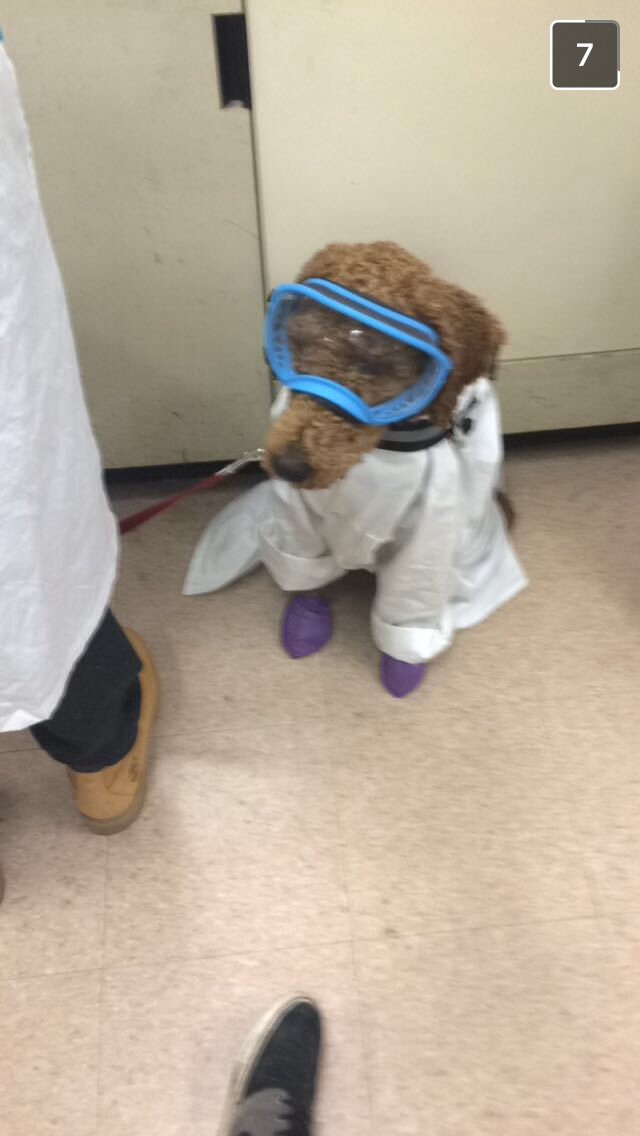 kaylanormann's tweet photo. Hi, I would like to share some photos of a student hard at work today at the university of Ottawa https://t.co/r7Aohfvffq