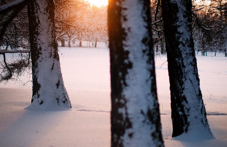 Atmospheric..
<a href="/4lexh/">4lex</a> - Amai (@KeithHMusic Remix)
youtu.be/khk20WNFLqU
Released by <a href="/MoonscapeRecord/">Moonscape Records</a> 
#Progressive